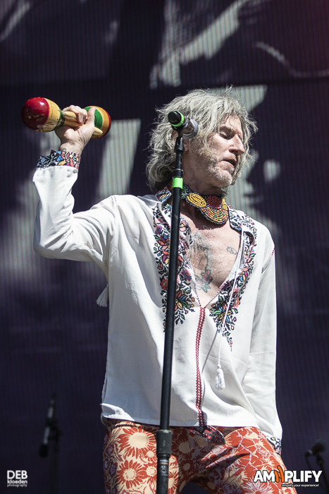 Rolling Stones Review – Tim Rogers