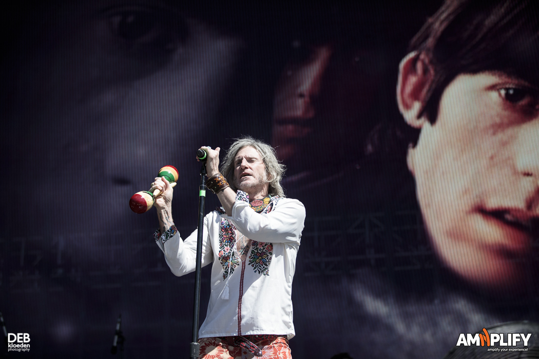 Rolling Stones Review – Tim Rogers
