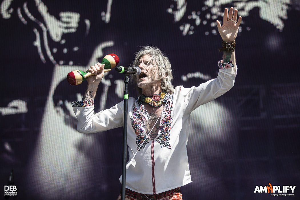 Rolling Stones Review – Tim Rogers