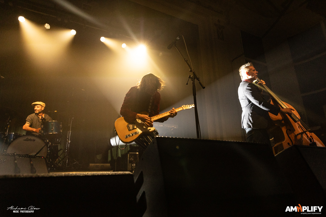 The Whitlams