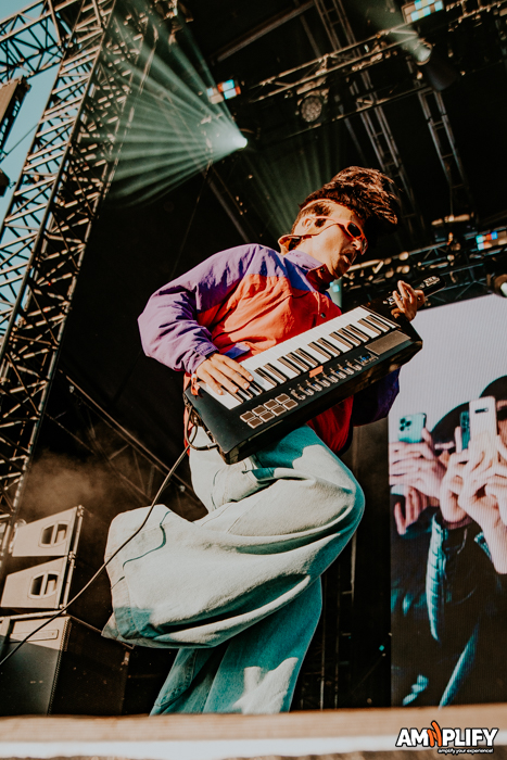 OLIVER TREE