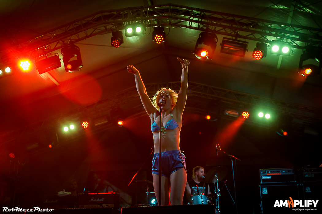 Amyl and the Sniffers