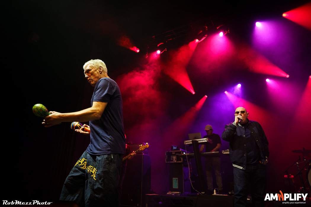 HAPPY MONDAYS