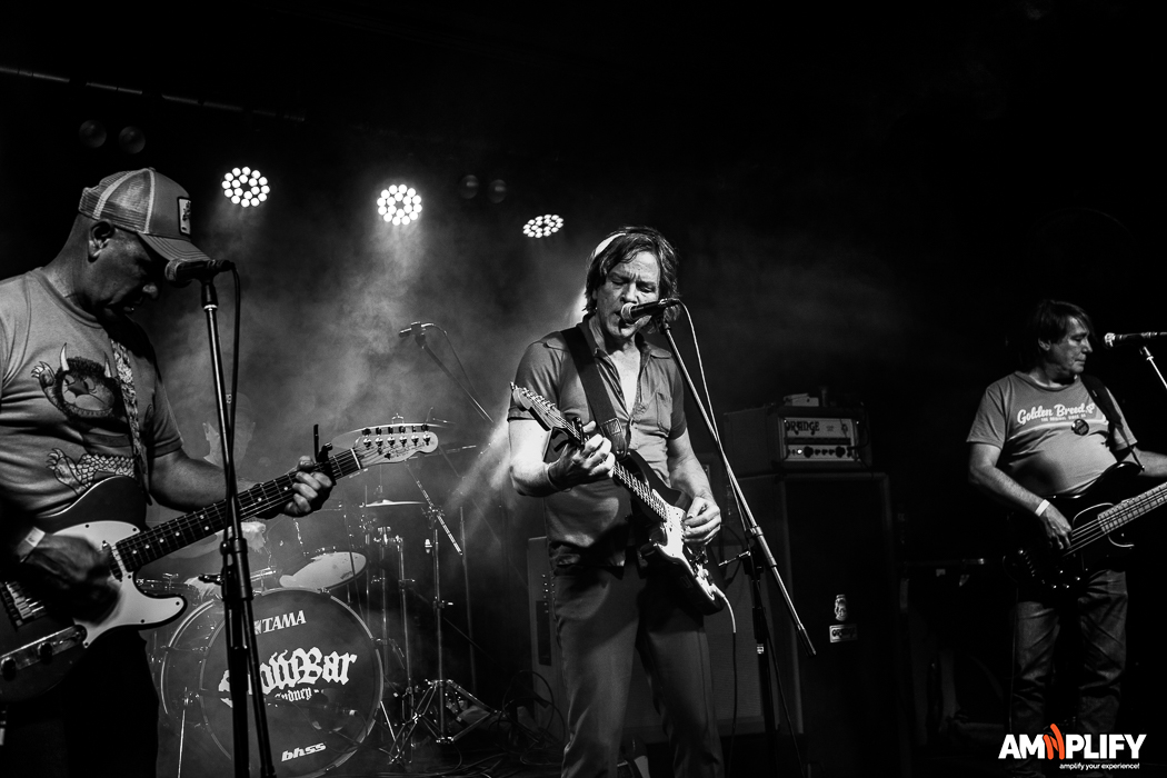THE FAUVES