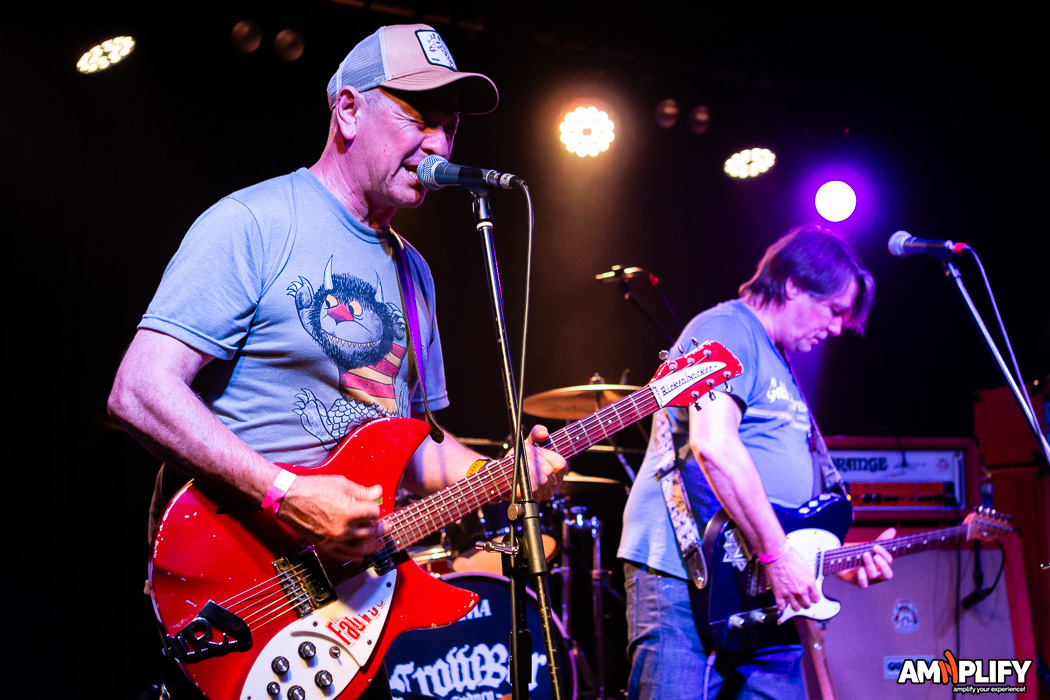 THE FAUVES