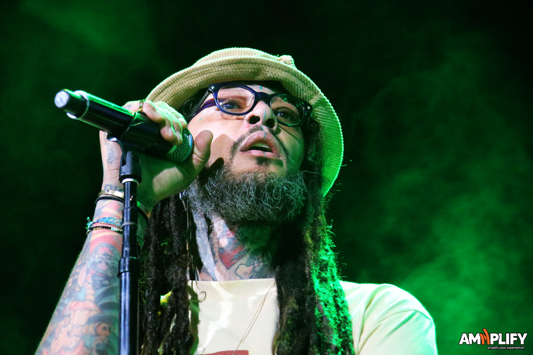 Travvie McCoy