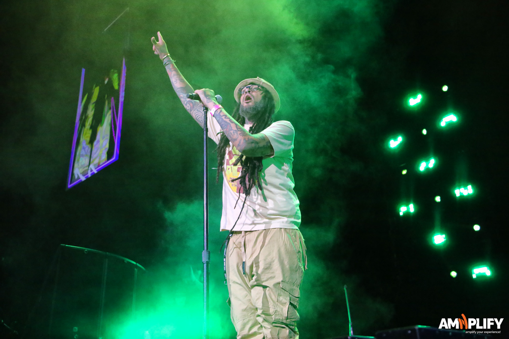 Travvie McCoy