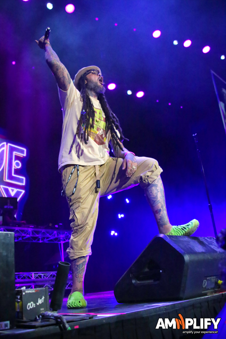 Travvie McCoy