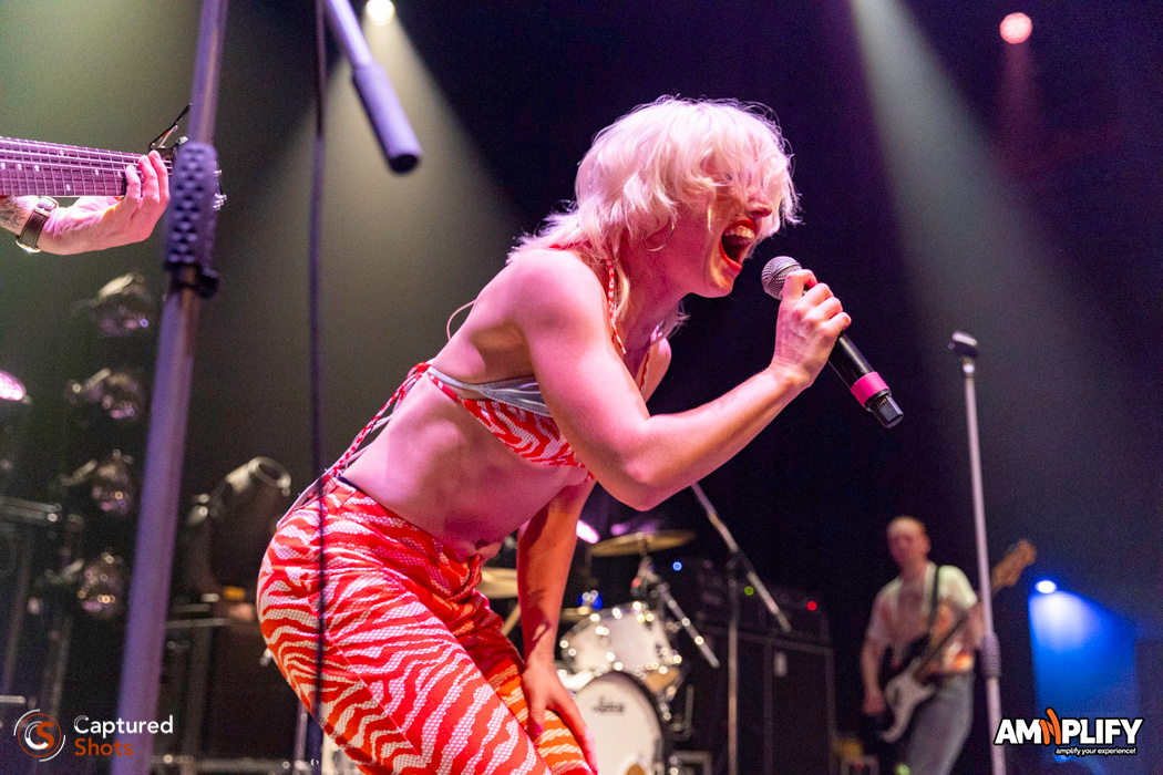 AMYL AND THE SNIFFERS