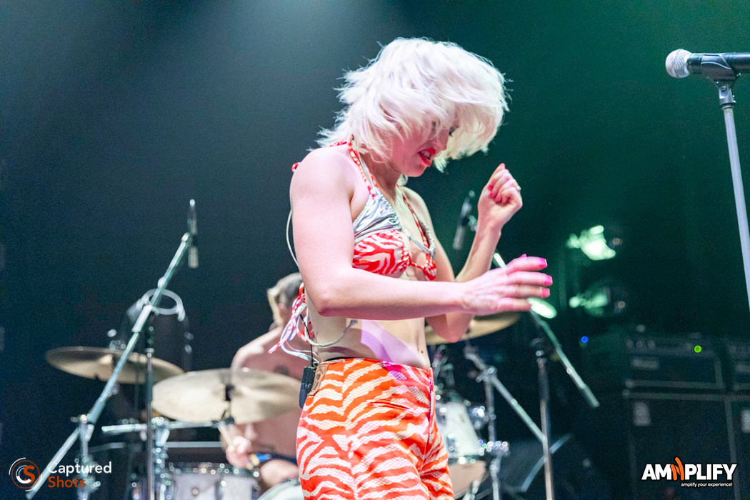 AMYL AND THE SNIFFERS