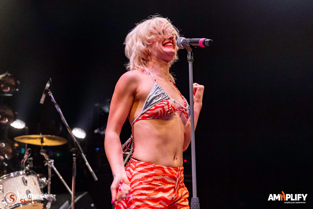 AMYL AND THE SNIFFERS