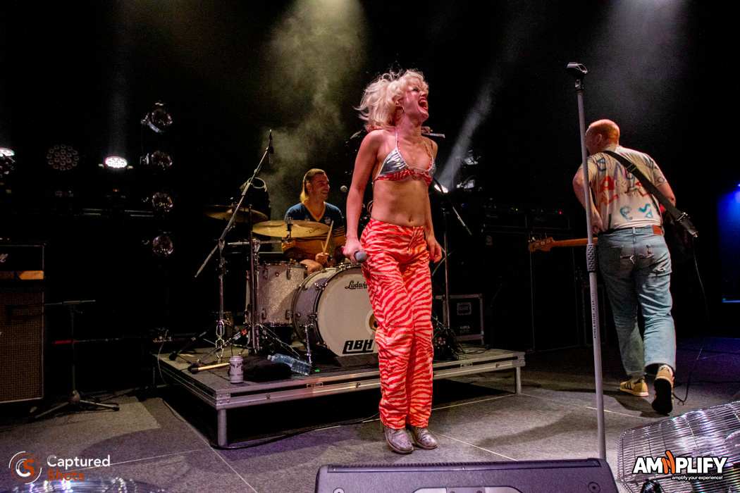 AMYL AND THE SNIFFERS