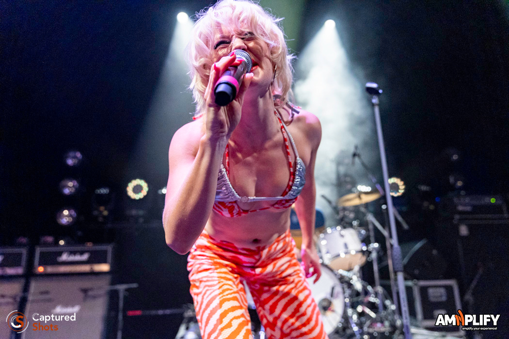 AMYL AND THE SNIFFERS