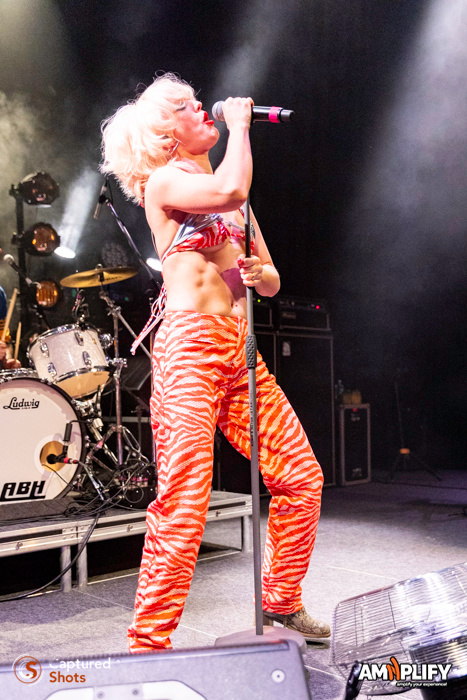 AMYL AND THE SNIFFERS