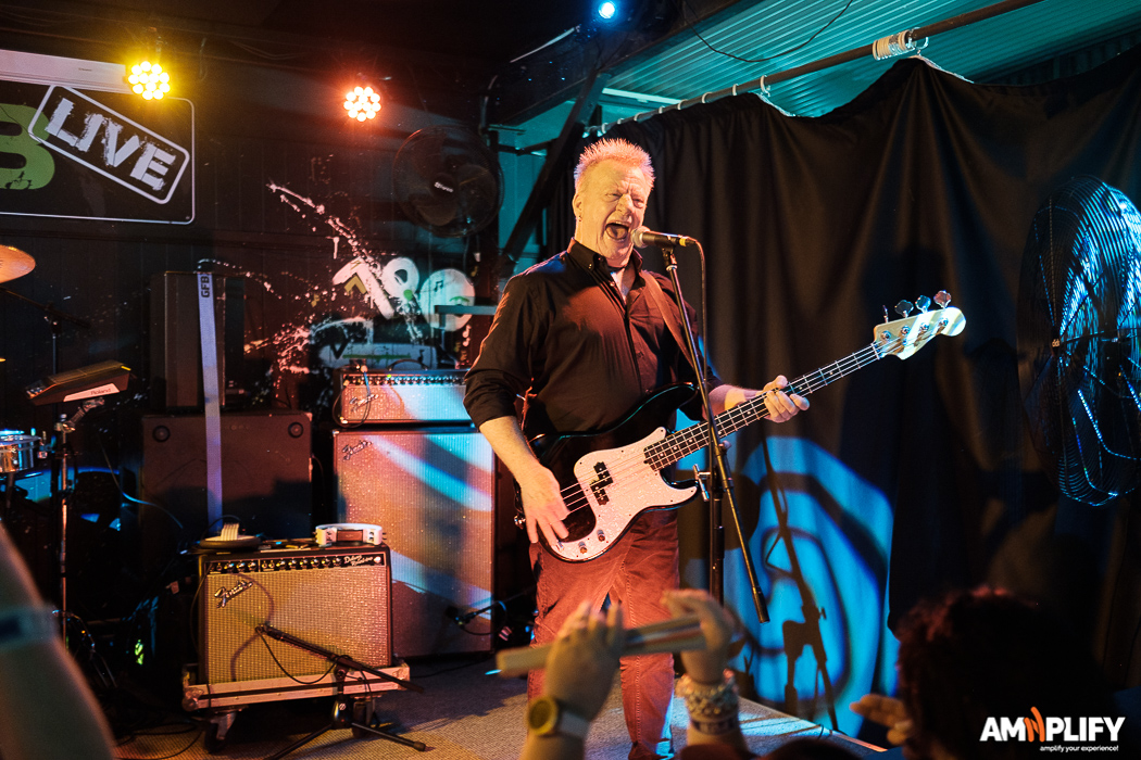 The Radiators