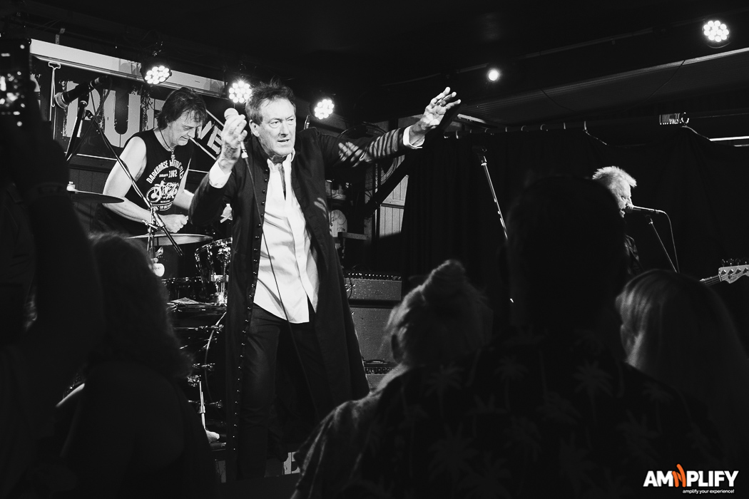 The Radiators