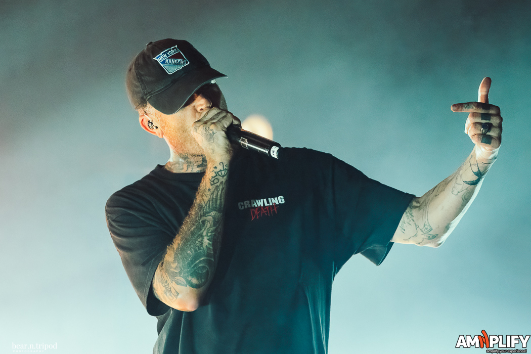 THE AMITY AFFLICTION