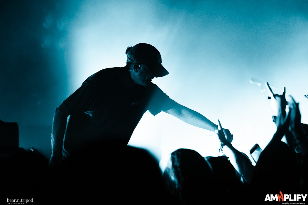 THE AMITY AFFLICTION