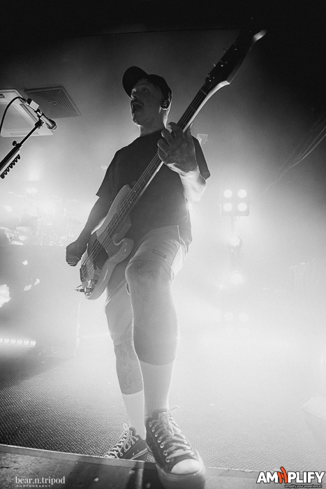 THE AMITY AFFLICTION
