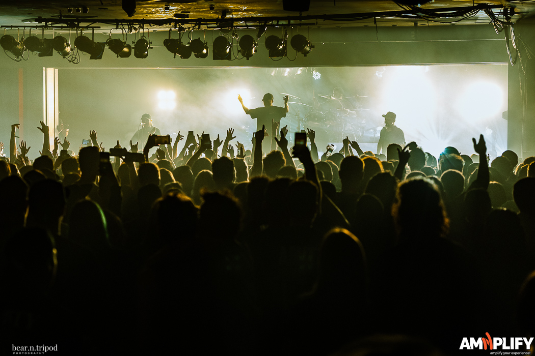THE AMITY AFFLICTION