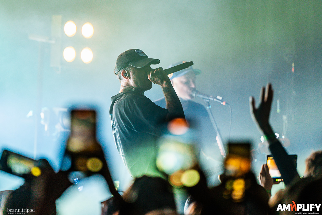 THE AMITY AFFLICTION