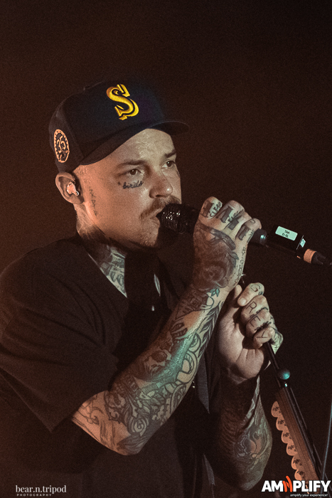 THE AMITY AFFLICTION