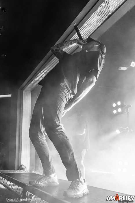 THE AMITY AFFLICTION