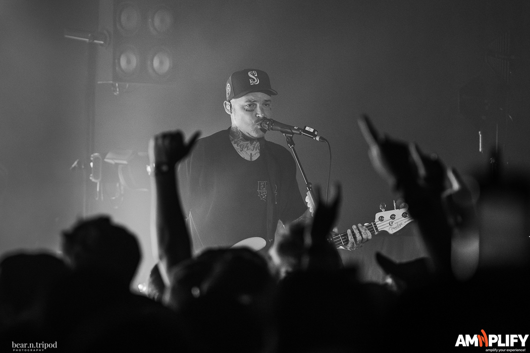 THE AMITY AFFLICTION