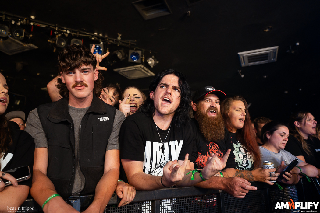 THE AMITY AFFLICTION