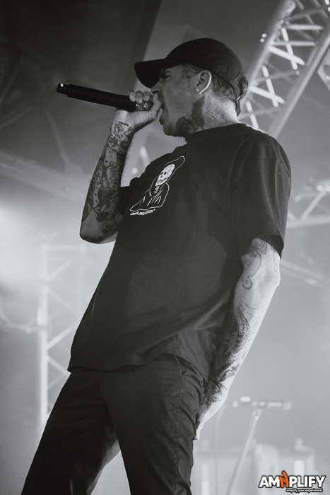 THE AMITY AFFLICTION