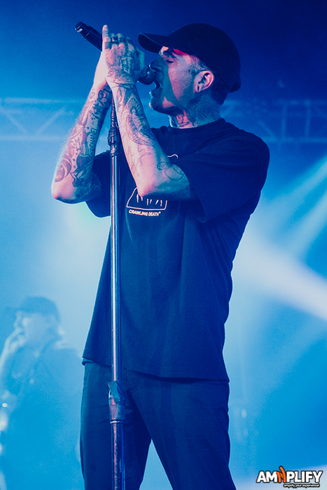 THE AMITY AFFLICTION