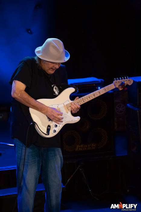 Walter Trout