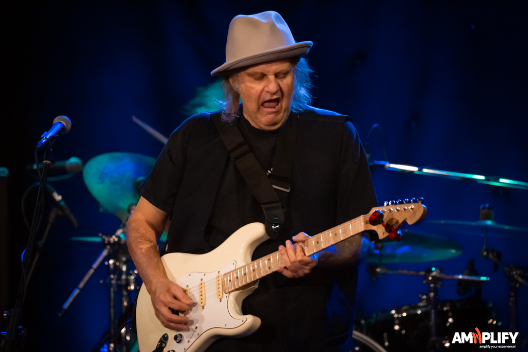 Walter Trout