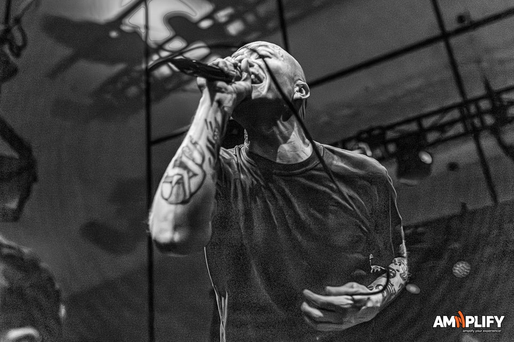TOUCHE AMORE
