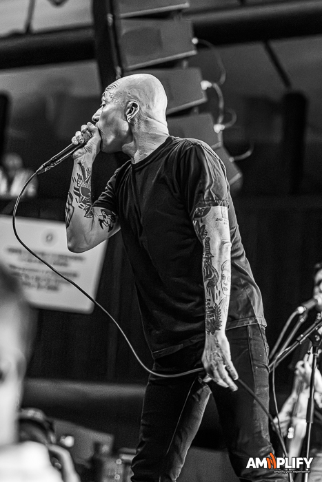 TOUCHE AMORE