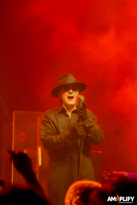 THE DAMNED