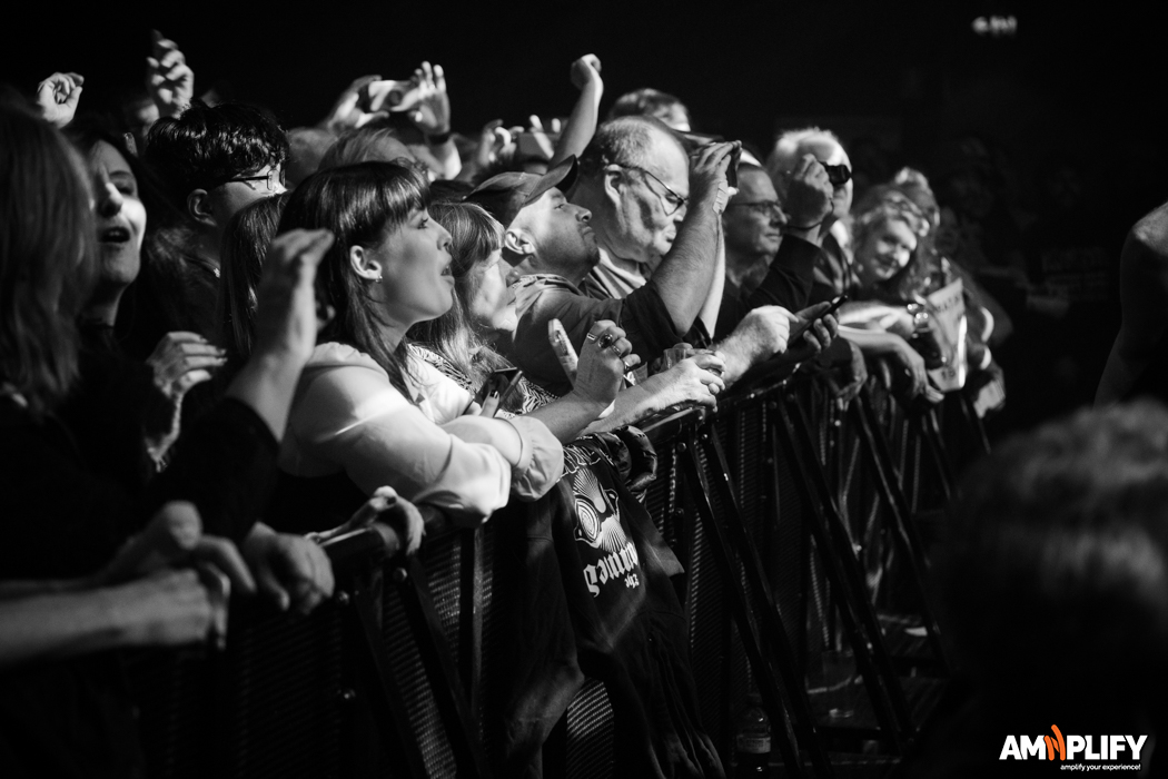 THE DAMNED