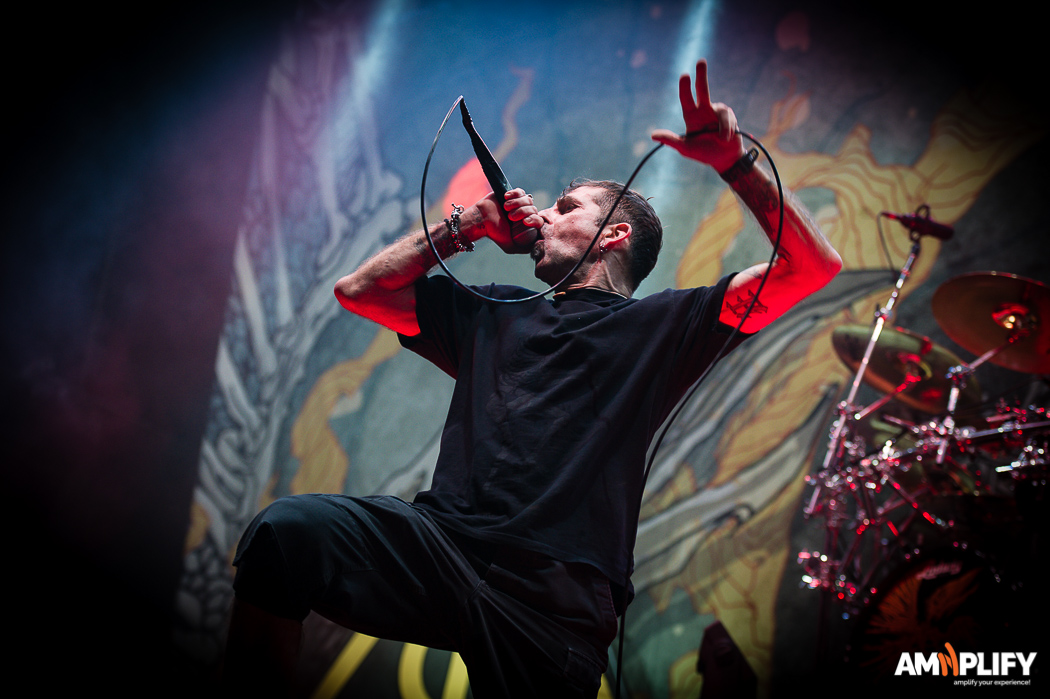 Lamb Of God