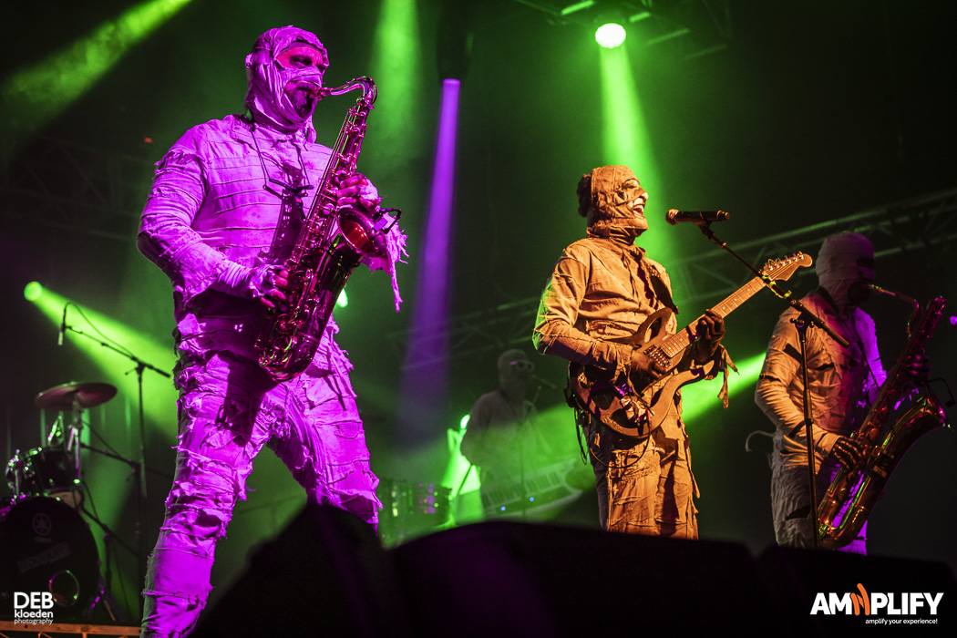 Here Come The Mummies