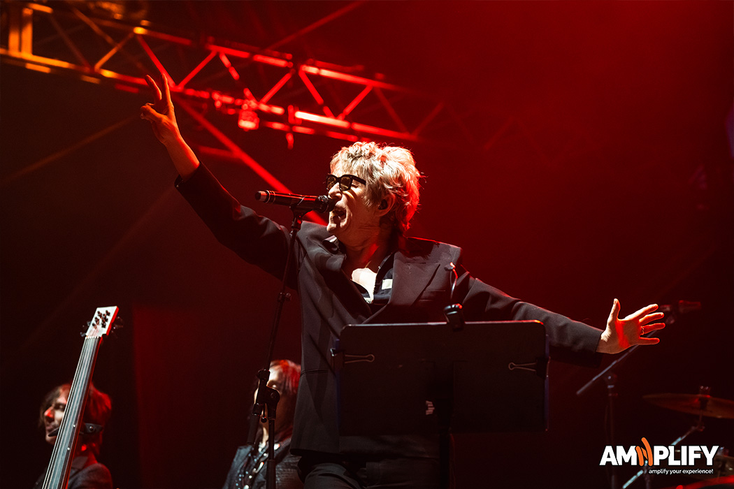 The Psychedelic Furs