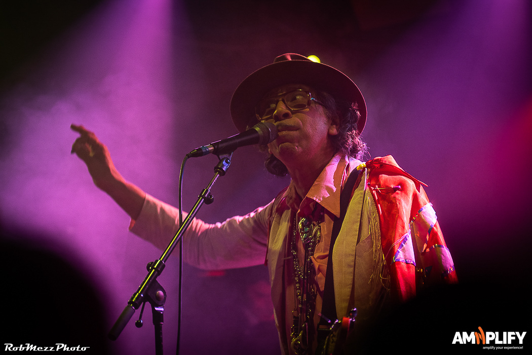 KID CONGO & THE PINK MONKEY BIRDS
